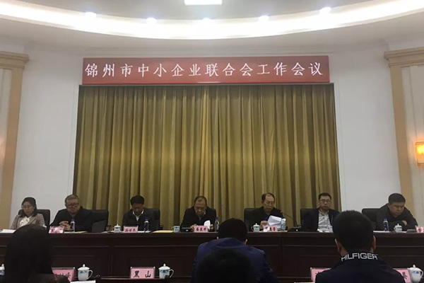 我公司參加全市中小企業(yè)聯(lián)合會工作會議並做發(fā)言