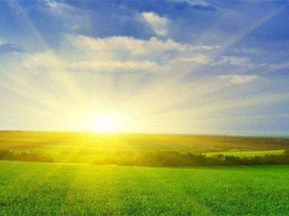 2020H1，錦州陽光戮力同心、運營達滿產