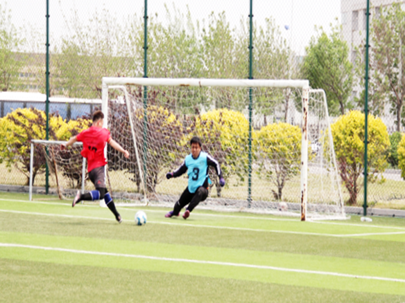 人文陽光 | 燃情綠茵場！陽光能源“陽光杯足球賽”正式開賽