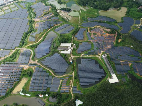 全球足跡 | 抗臺風技能拉滿！陽光能源助力廣東省開平市150MW光伏項目實現三重收益