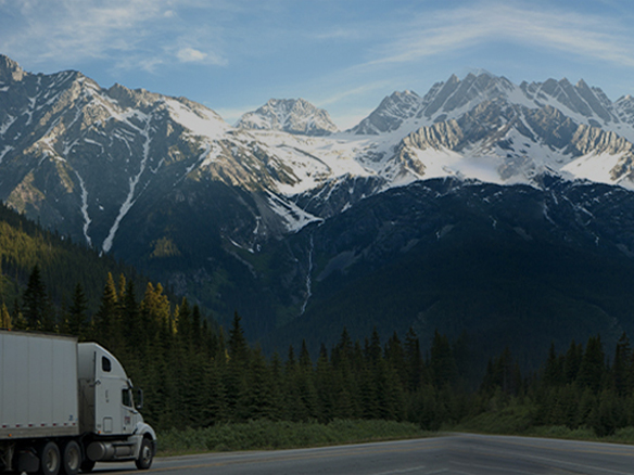 打造綠色典范工程！陽光能源助力中廣核新能源吉林白城項目順利開工